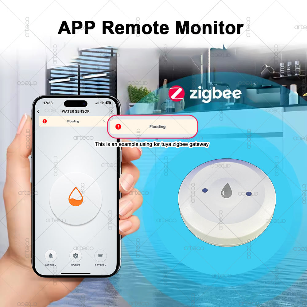 Sensor de agua inteligente Zig - Smart Home Zigbee Gateway reseña y precio