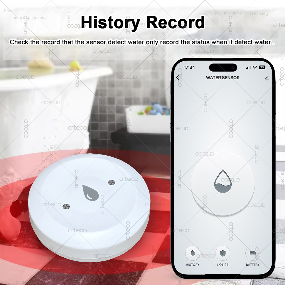 Sensor de agua inteligente Zig - Smart Home Zigbee Gateway reseña y precio