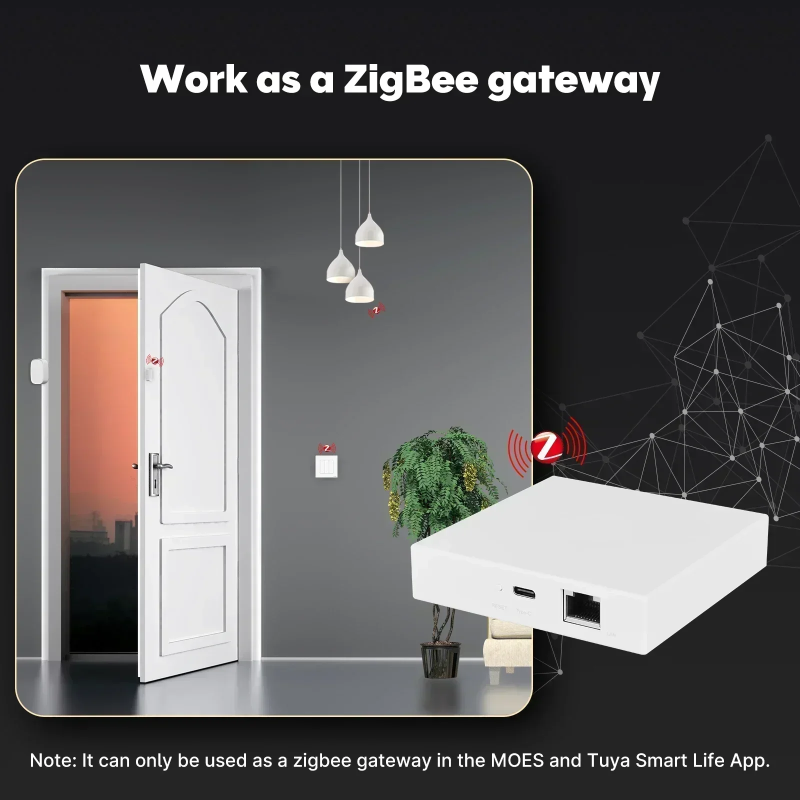 MOES Tuya Zigbee Matter Thread - Smart Home Group reseña y precio